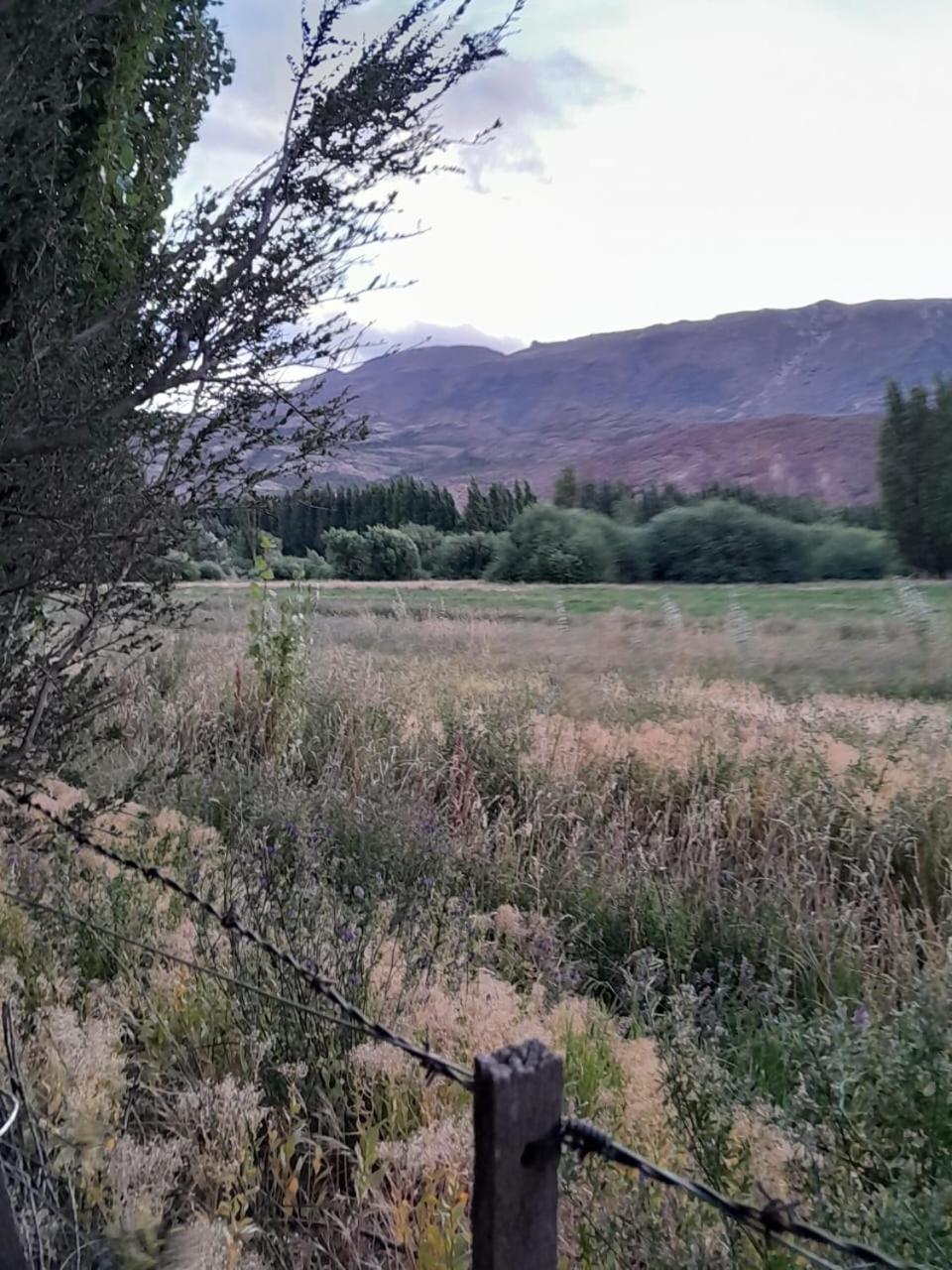 Calafates Y Lavandas شيلي شيكو المظهر الخارجي الصورة